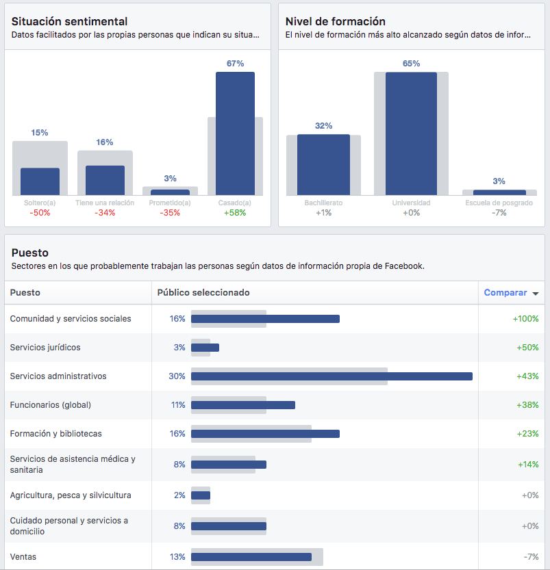 Buyer Persona - Intereses definidos en la herramienta Audience Insights