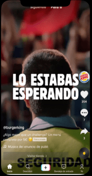TikTok Ads