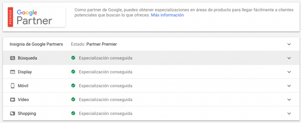 Estado Google Partners Agencia SEM