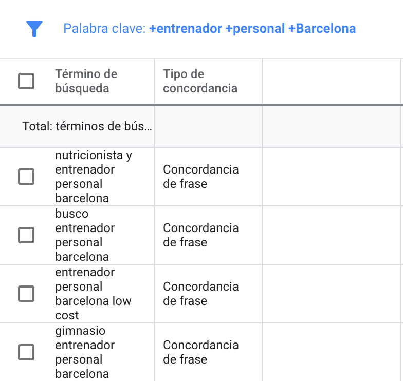 Concordancia en Google Ads