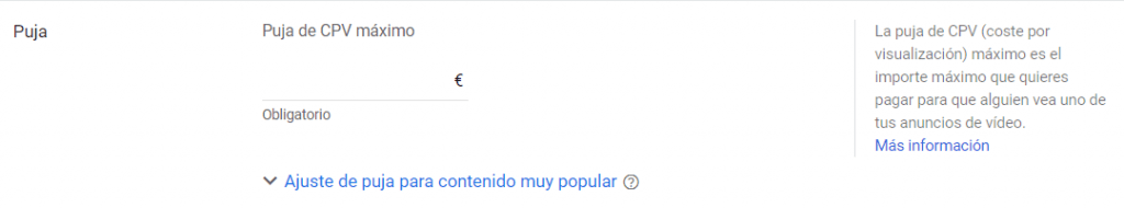 Configuración del grupo de anuncios y puja máxima