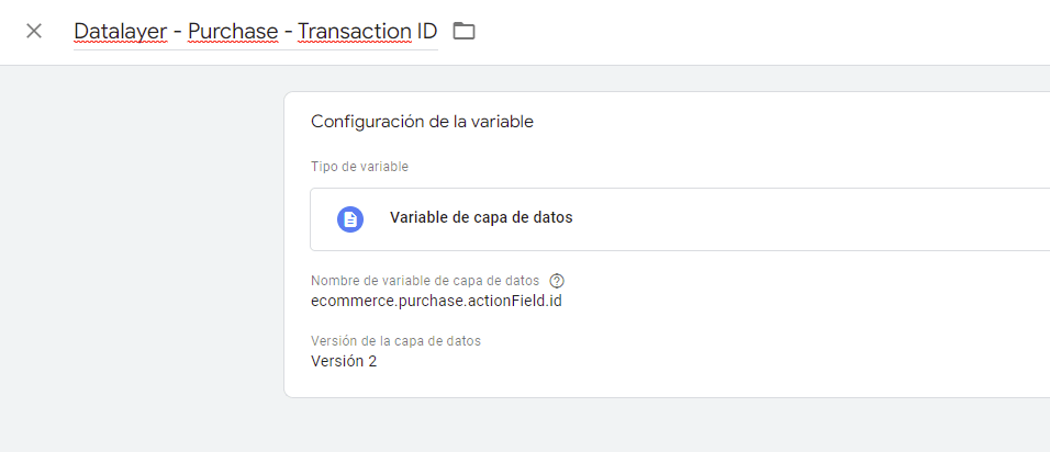 Tag Manager - Variable capa de datos